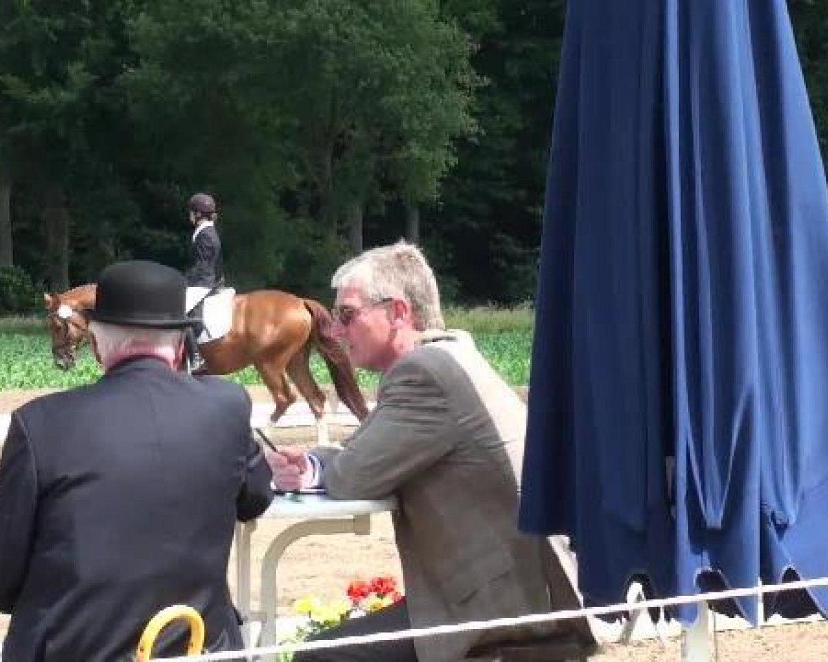 horse Floniro R (Oldenburg, 2008, from Florencio I)