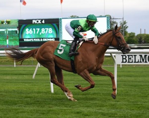 horse In Italian xx (Thoroughbred, 2018, from Dubawi xx)