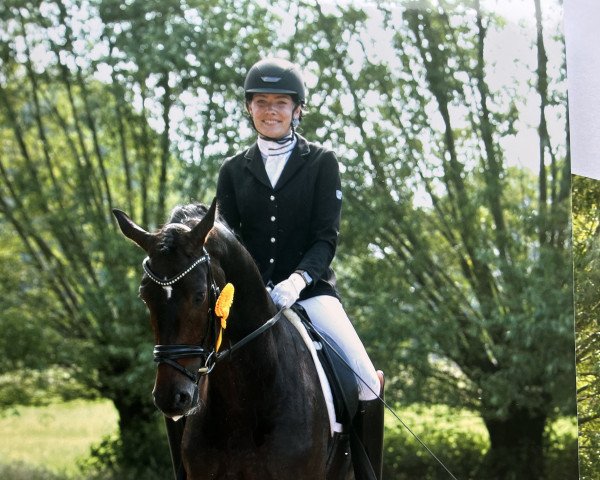 dressage horse Zauberprinz (Westphalian, 2019, from Zoom)