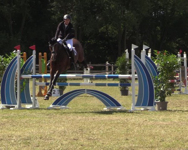 Reitturnier Greven 2022