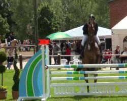 Springpferd Suttogo Adonisz (Ungarisches Warmblut, 2007, von Le Cou Cou)