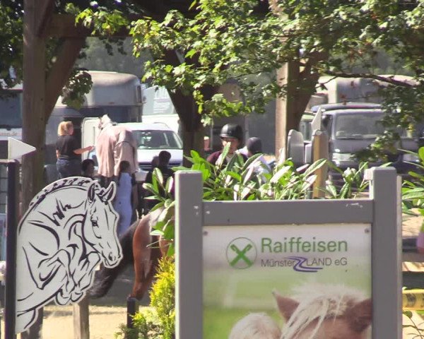 Reitturnier Greven 2022