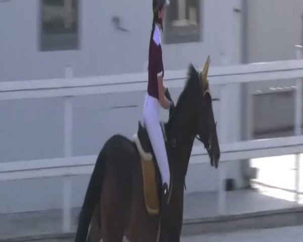 Video of Gean-Tettie Yh
