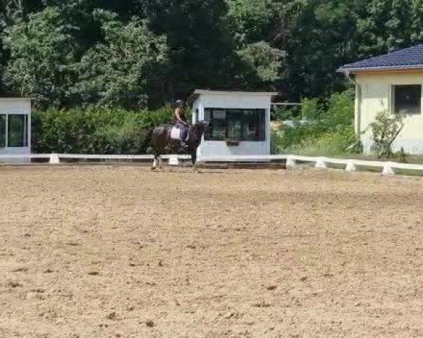 Video of Fürstin Gracia