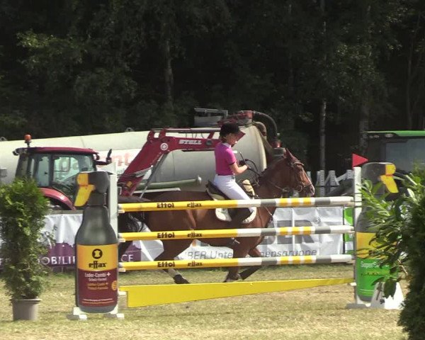 Reitturnier Greven 2022