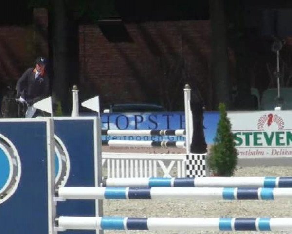 jumper Qiqihar (Oldenburg, 2007, from Quidam)