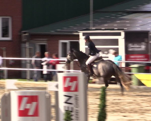 Springturnier Lüdinghausen 2021