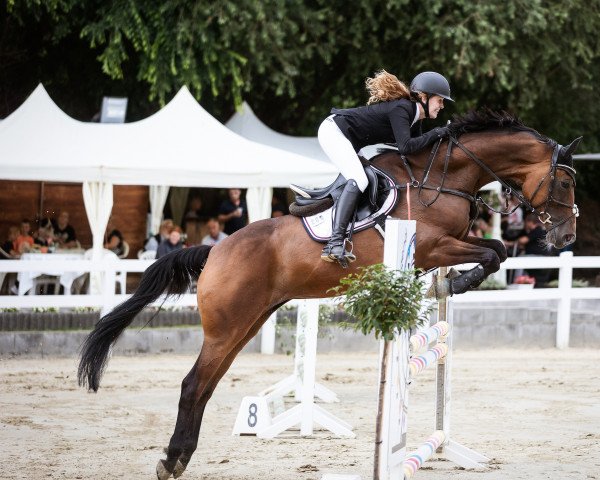 dressage horse Louana 6 (Hanoverian, 2013, from Lemony's Nicket)