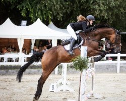 dressage horse Louana 6 (Hanoverian, 2013, from Lemony's Nicket)