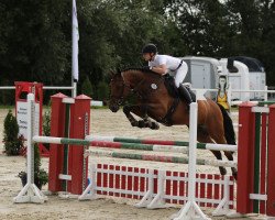 jumper Lutz 147 (Westphalian, 2014, from Lordanos)