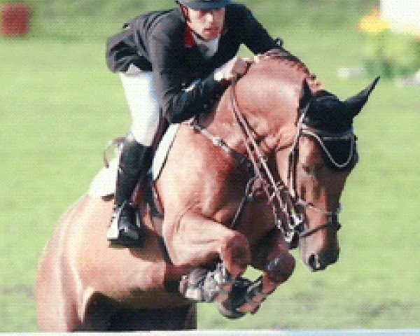 jumper Classica Ls (Mexican Riding Horse, 2002, from Fergar Mail)