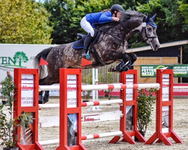 jumper Magic Inwhite (Holsteiner, 2014, from Mylord Carthago)