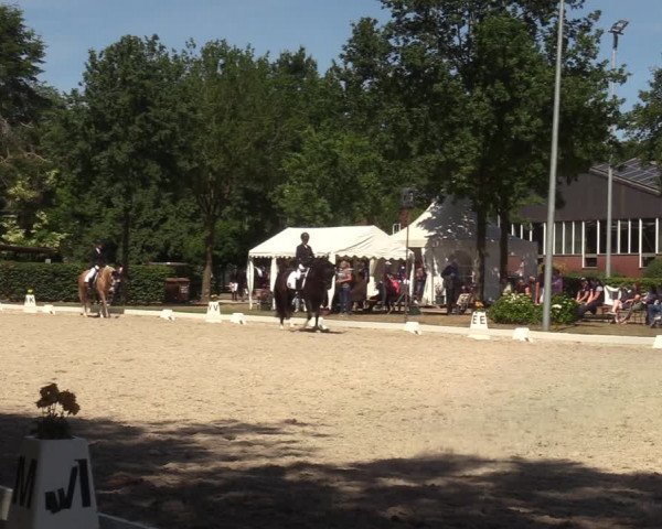 Reitturnier Greven 2022