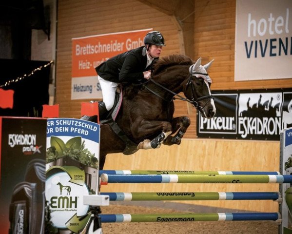 jumper Chalalala (German Sport Horse, 2015, from Chetlag)