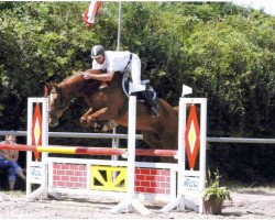 broodmare Felisha (Hanoverian, 2001, from Fabriano)