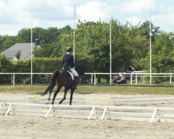 Reitturnier Kottingbrunn 2022