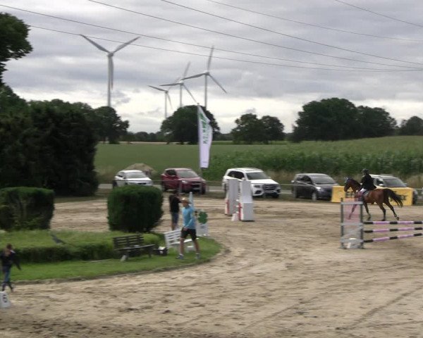 Reitturnier Recklinghausen 2022