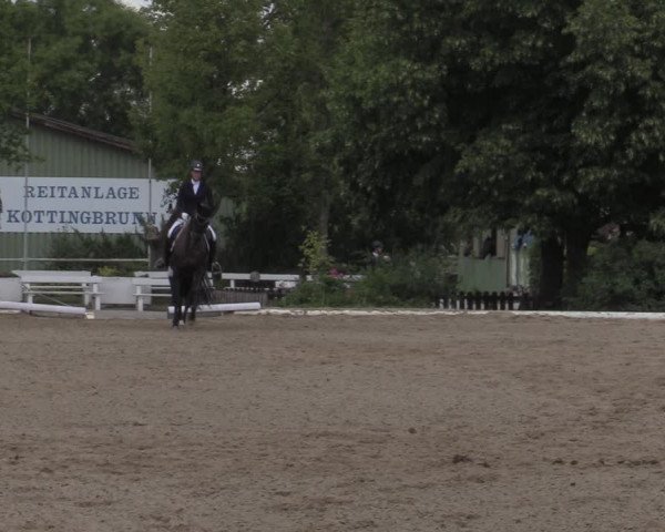 Reitturnier Kottingbrunn 2022