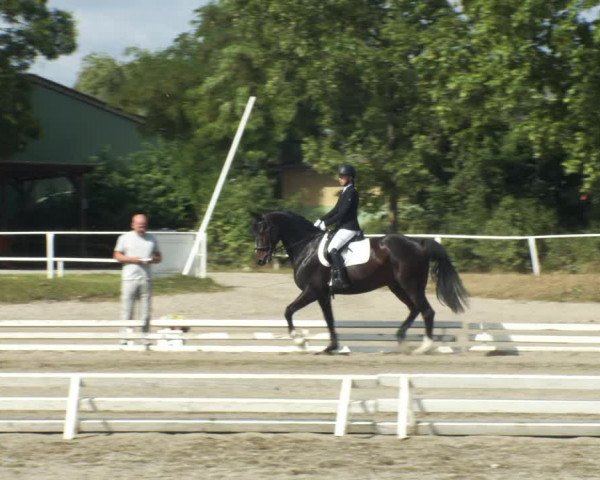 Reitturnier Kottingbrunn 2022
