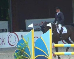 jumper Calisto 25 (Hanoverian, 2007, from Calido I)