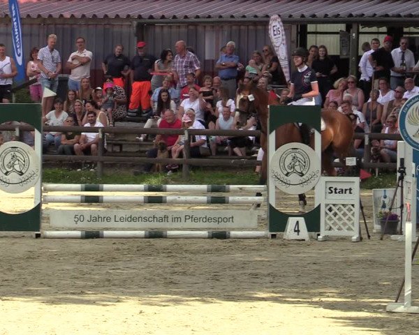 Reitturnier Marienheide-Kempershöhe 2022