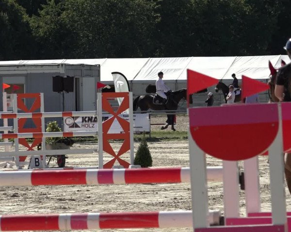 Reitturnier Weiswampach 2022