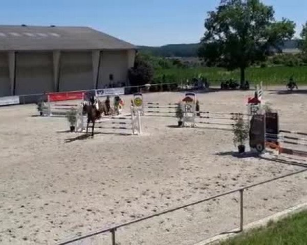 Video of C'est la vie 189
