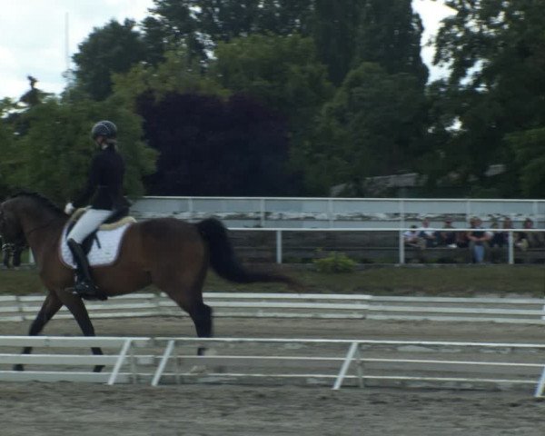 Reitturnier Kottingbrunn 2022