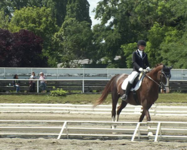 Reitturnier Kottingbrunn 2022