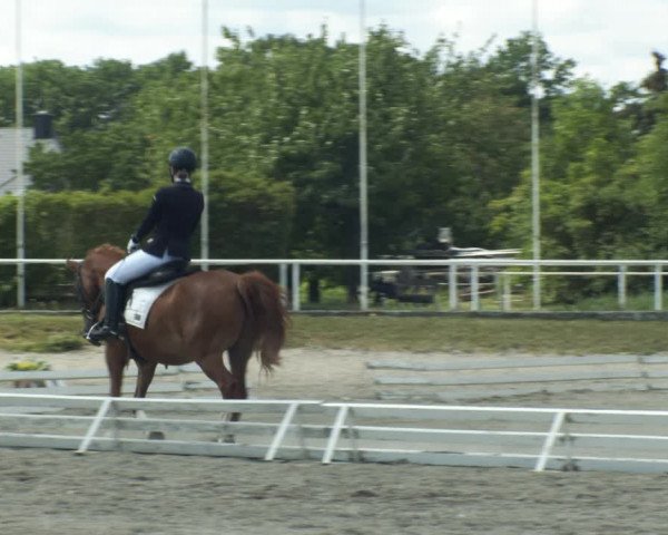 Reitturnier Kottingbrunn 2022