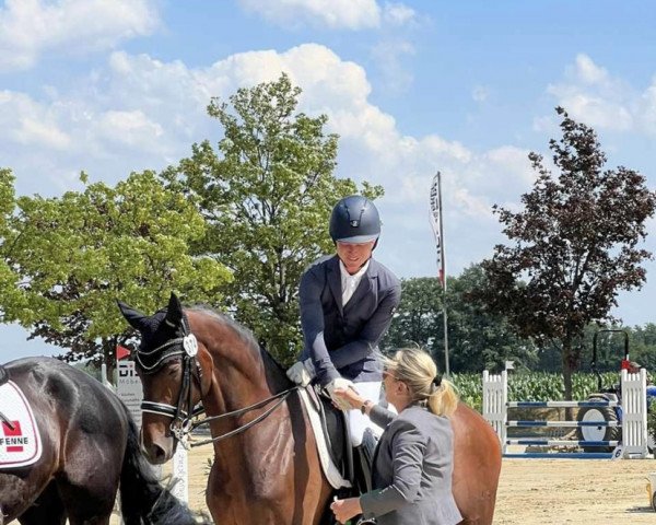 dressage horse Dance With Me Hg (German Riding Pony, 2016, from Dreidimensional AT NRW)