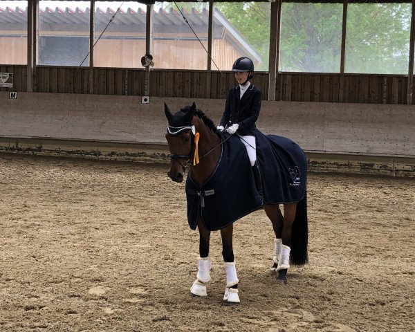 Dressurpferd Lean F (Württemberger, 2012, von Lordanos)