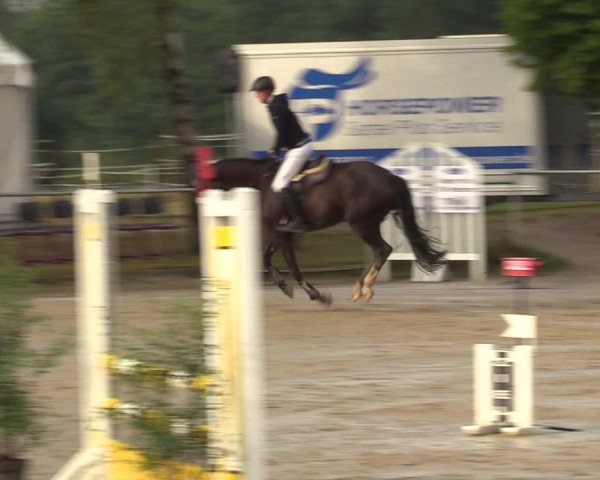 Reitturnier Herbern 2022