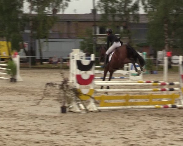 Reitturnier Herbern 2022