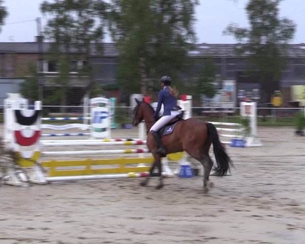 Reitturnier Herbern 2022