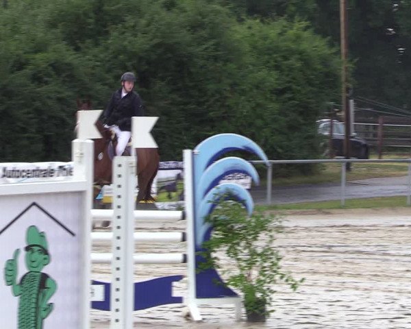 Reitturnier Herbern 2022