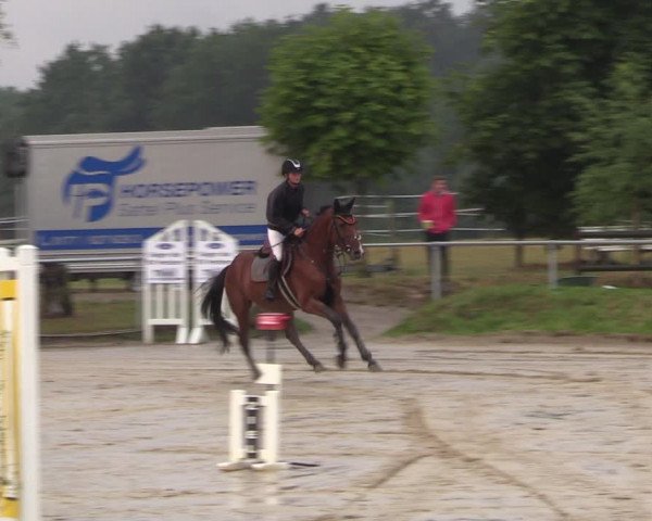 Reitturnier Herbern 2022