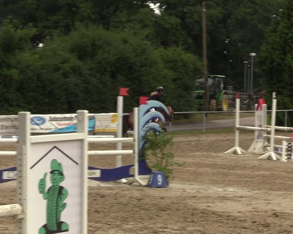 Reitturnier Herbern 2022