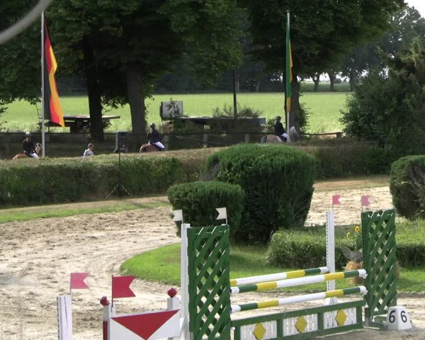 Reitturnier Recklinghausen 2022