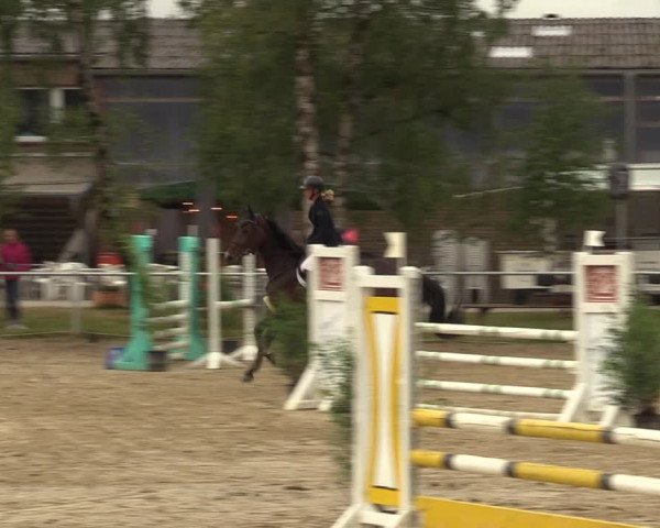 Reitturnier Herbern 2022