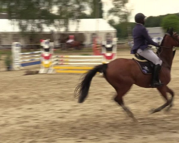 Reitturnier Herbern 2022