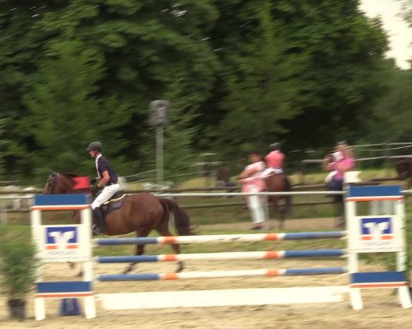 Reitturnier Herbern 2022