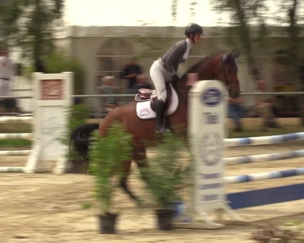 Reitturnier Herbern 2022