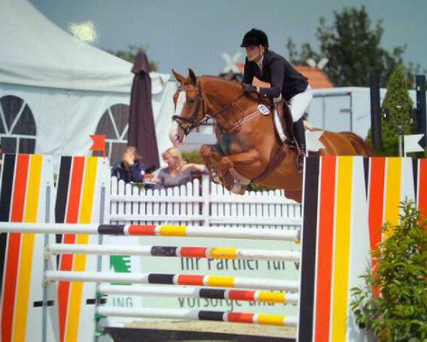 broodmare Light Fly Lady (Westphalian, 2006, from Light On OLD)