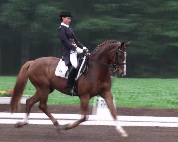 dressage horse Rabauke 38 (Hanoverian, 1997, from Regazzoni)