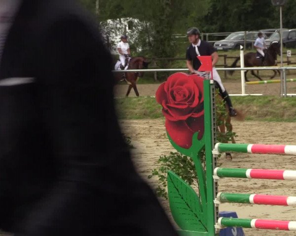 Reitturnier Herbern 2022