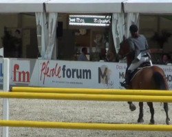 broodmare Eiana Lee (Oldenburg, 2004, from Ludwig von Bayern 168 FIN)