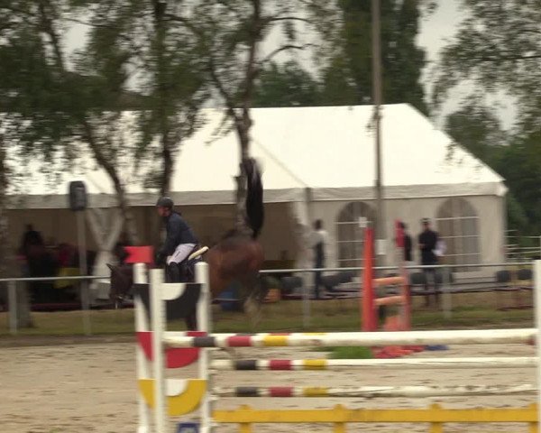 Reitturnier Herbern 2022