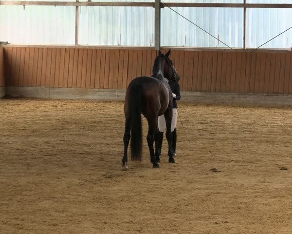 Reitturnier Herbern 2022