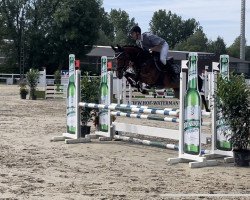 Springpferd Quasimodo 26 (Westfale, 2018, von Quo Vados I)